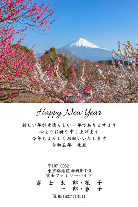 スタンダード・写真素材のイラスト年賀状デザイン・テンプレート|BO-81|フジカラー年賀状2023
