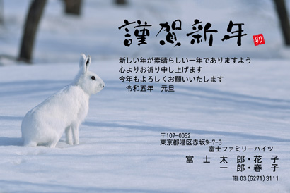 スタンダード・写真素材のイラスト年賀状デザイン・テンプレート|BO-84|フジカラー年賀状2023