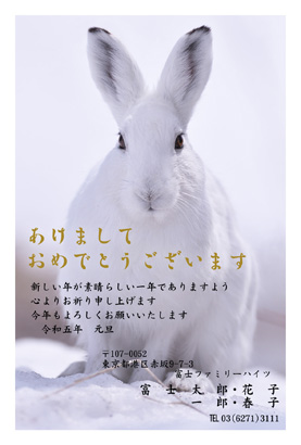 スタンダード・写真素材のイラスト年賀状デザイン・テンプレート|BO-88|フジカラー年賀状2023
