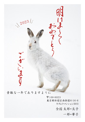 卯(兎・うさぎ・ウサギ)・シンプルなイラスト年賀状デザイン・テンプレート|KNN-003NT