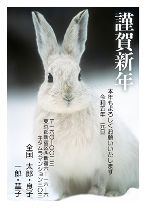 卯(兎・うさぎ・ウサギ)・かわいいイラスト年賀状デザイン・テンプレート|KNN-010NT