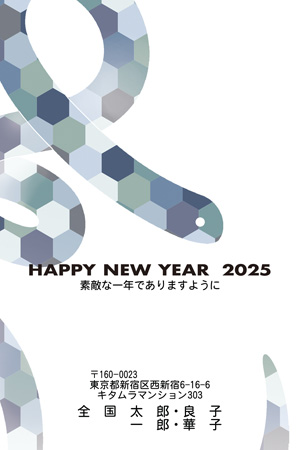 干支(巳年・蛇)・かっこいい イラスト年賀状デザイン|KJN-005NT|カメラのキタムラ年賀状2025巳年