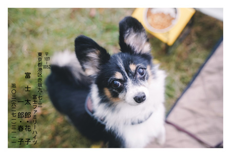 かわいい・横 写真入り年賀状デザイン|BN-108|フジカラー年賀状2025|カメラのキタムラ年賀状2025巳年