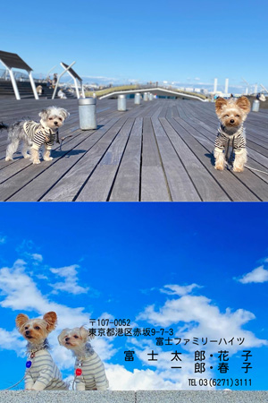 干支(午年)・シンプル 写真入り年賀状デザイン|BN-103|フジカラー年賀状2026|カメラのキタムラ年賀状2026午年