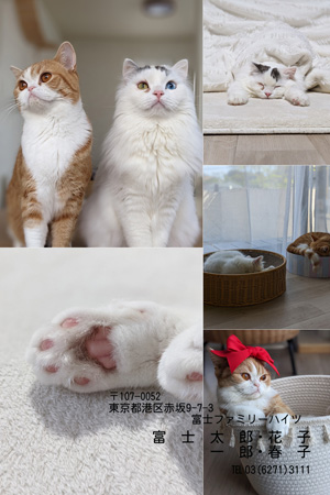 干支(午年)・シンプル 写真入り年賀状デザイン|BN-105|フジカラー年賀状2026|カメラのキタムラ年賀状2026午年