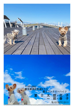 干支(午年)・シンプル 写真入り年賀状デザイン|BN-103|フジカラー年賀状2026|カメラのキタムラ年賀状2026午年
