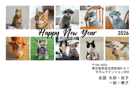 干支(午年)・シンプル 写真入り年賀状デザイン|KJN-020NY|カメラのキタムラ年賀状2026午年