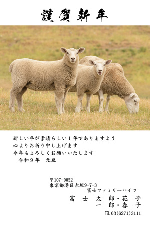 かっこいい・縦 イラスト年賀状デザイン|BO-061|フジカラー年賀状2027|カメラのキタムラ年賀状2027未年