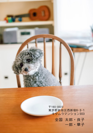 かっこいい・写真1枚 写真入り年賀状デザイン|KLN-134NT|カメラのキタムラ年賀状2027未年