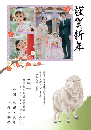 干支(未年)・写真3枚 写真入り年賀状デザイン|KNN-304NT|カメラのキタムラ年賀状2027未年