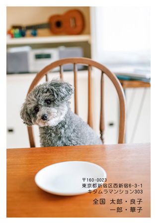 かっこいい・写真1枚 写真入り年賀状デザイン|KLN-134NT|カメラのキタムラ年賀状2027未年